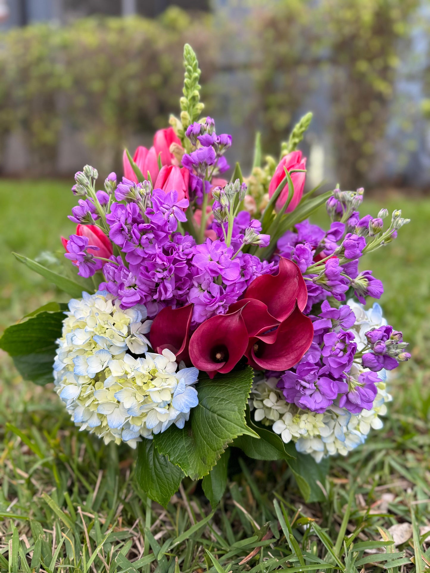 LULUX Violet Breeze