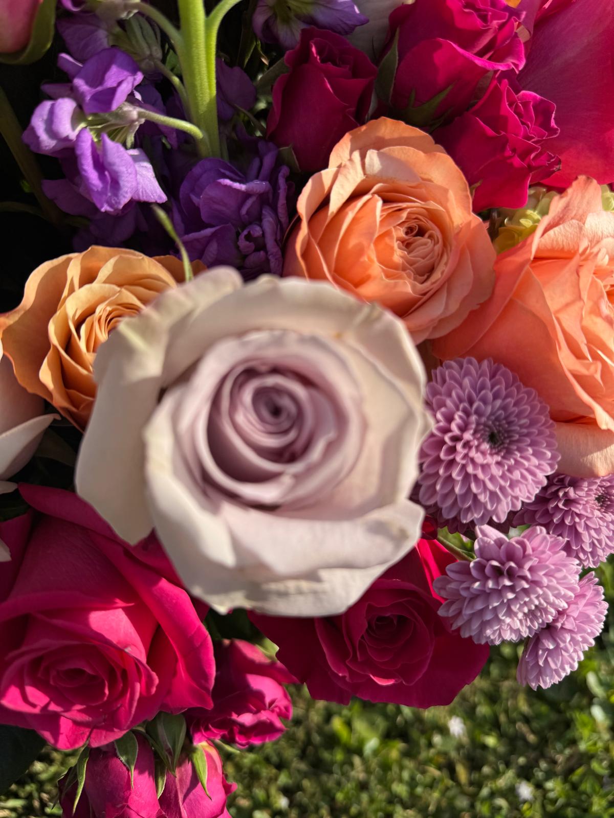 LULUX Poetic Bloom
