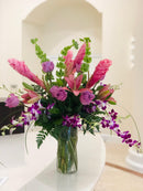 LULUX Orchid Elegance