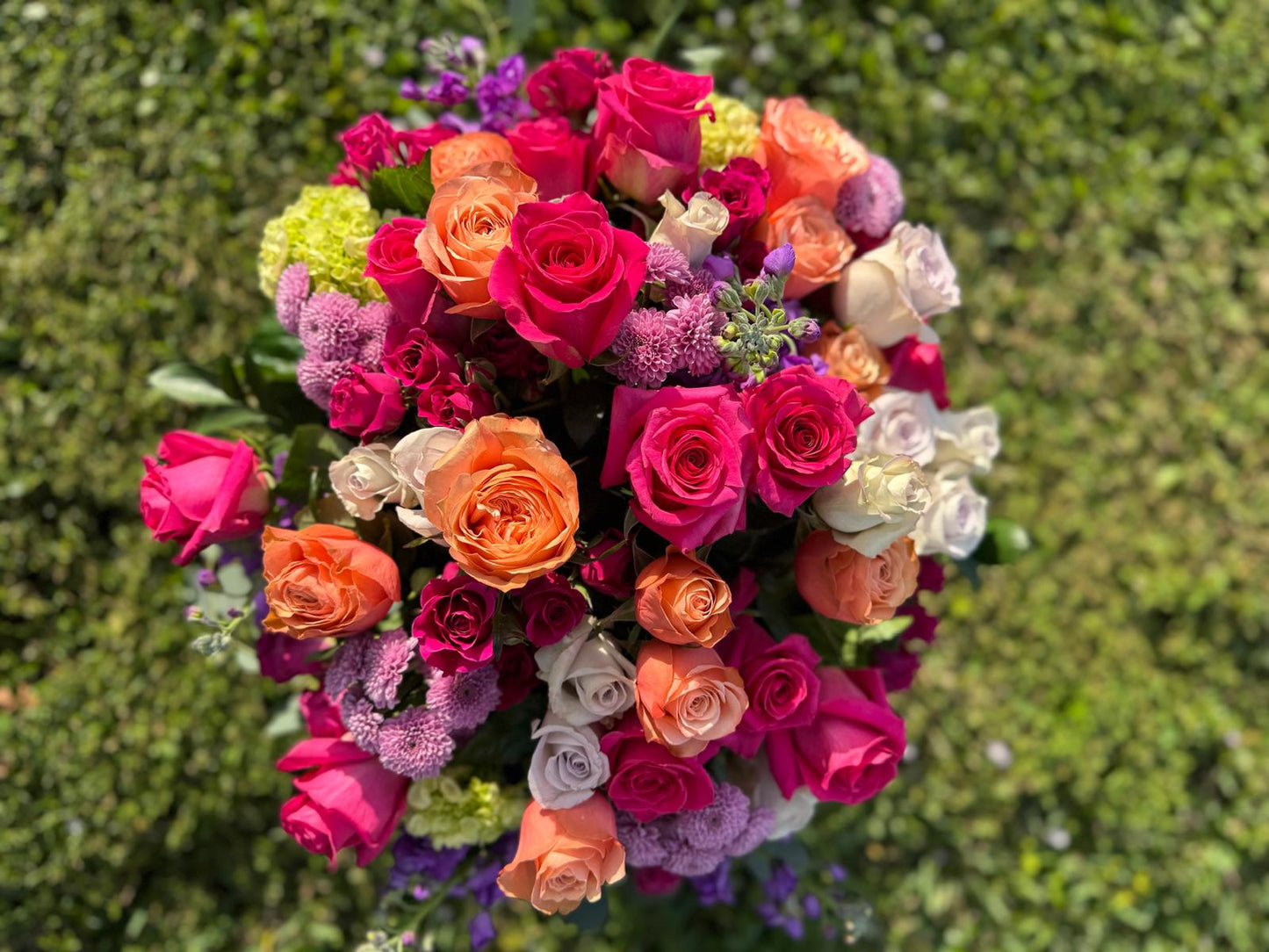 LULUX Poetic Bloom